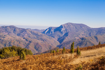 Fototapeta premium Beautiful countryside view of autumn landscape