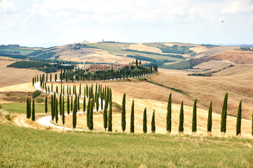 Toscana, Italy. Beautiful summer landscape in Tuscany/Toscana, Italy. Cloudy day, yellow dry grass. Lines landscape