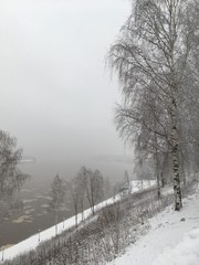 Winter landscape. Snow, birch trees, fog, river.