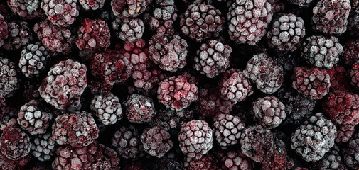 Background and texture of frozen blackberry berries. Panorama.