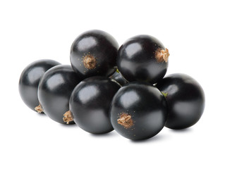 Black currant berries isolated