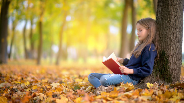 cute girl sitting under a tree in the autumn park park and reading a book. Childhood. Education.