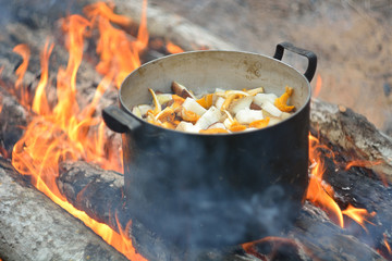 Cooking on the fire.