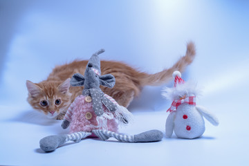 red cat plays with a rat and a snowman