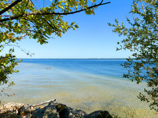 feuillage au bord du lac