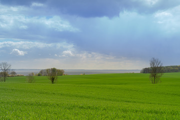 Fototapeta na wymiar Beautiful view over green fields on the German Baltic coast near Groemitz