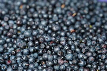 Blueberry background. Ripe and juicy fresh blueberries. Blueberries close up.
