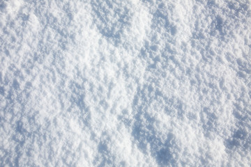 Winter christmas background. Snowflakes in the soft white snow. Winter background.