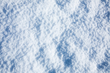 Winter christmas background. Snowflakes in the soft white snow. Winter background.