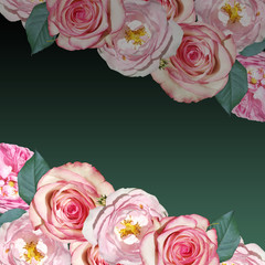 Beautiful flower background of dogrose and roses. Isolated