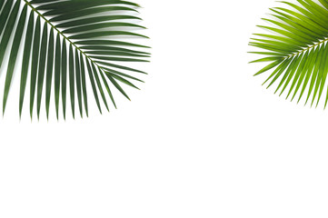 Fototapeta na wymiar Flat lay, top view with green leaf tropical palm for holiday concept on white background.