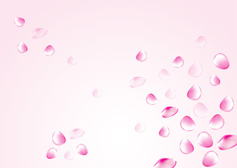 pink white background rose petals are falling in the air for theme beuaty and cosmetics or love romantic vector design