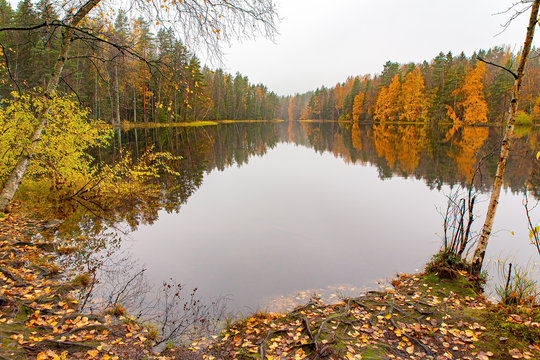 Finnish lake with mirror image in autumn