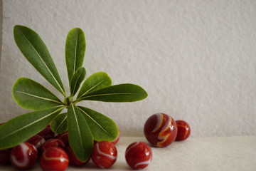 pills and leaf on wooden background