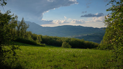Fototapeta na wymiar Foto scattata nelle colline di Cantalupo Ligure (AL),