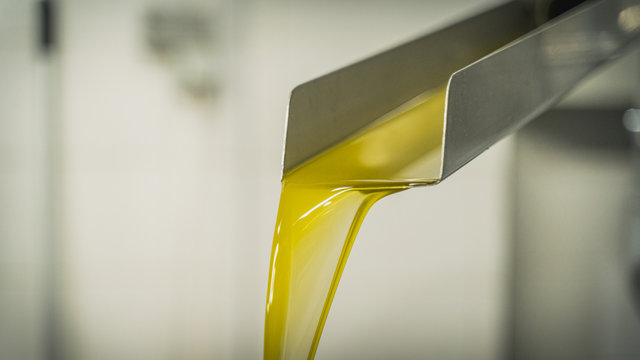 Olive Oil After Distillation Process