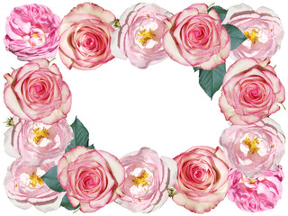 Beautiful floral frame of wild rose and roses. Isolated