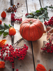 Still life of fresh pumpkin, sprigs of Rowan and physalis flowers on a wooden table