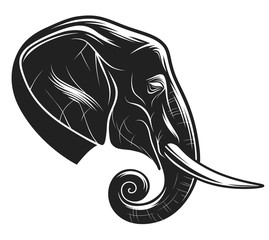 African elephant head monochrome
