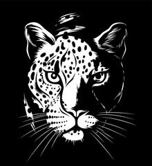 Leopard in darkness