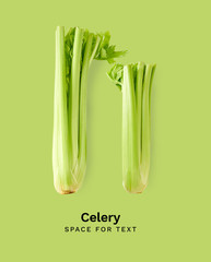 Top view layout with fresh celery stalks. Isolated on white background with copy space - obrazy, fototapety, plakaty