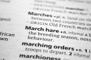 Word or phrase March hare in a dictionary.