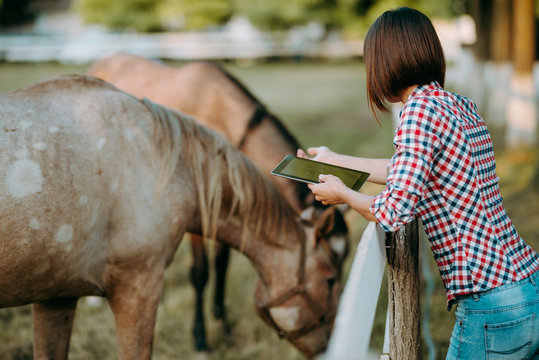 Serious young female worker of animal farm in uniform using tablet - Powered by Adobe