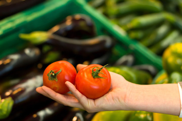 Female hand choosing tomato in supermarket. Concept of healthy food, bio, vegetarian, diet.