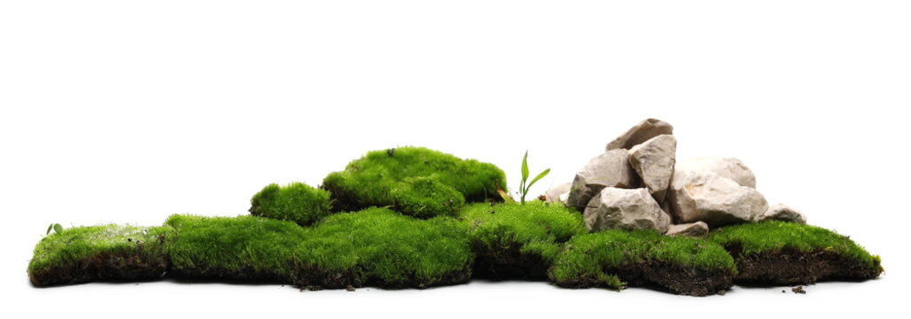 Green moss with decorative rocks isolated on white background