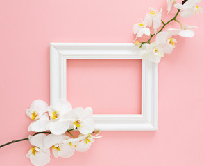 White photo frame with white orchids on the pink background. Beautiful White Phalaenopsis orchid flowers, wooden white photo frame. Women's Day, Flower Card. Valentine's day. Flat lay, top view