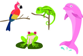 dolphin-frog-parrot-lizard