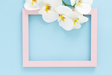 Pink wooden photo frame with beautiful white Orchid flower on blue background. Flat lay composition, space for text. 