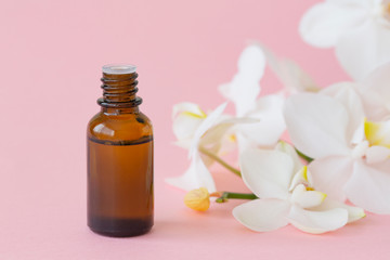 Fototapeta na wymiar Massage oil with white orchid on pink background. Beauty concept, natural cosmetic products. Orchid extract, aromatic oils. Copy space.