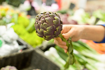 Woman's hand choosing artichoke in the market. Concept of healthy food, bio, vegetarian, diet.