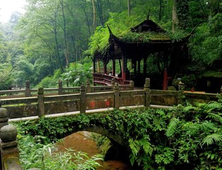 un pont vert dans une foret en Chine