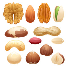 Nuts set vector illustration.