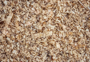 Natural wood shavings texture