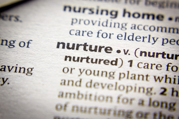 Word or phrase Nurture in a dictionary.