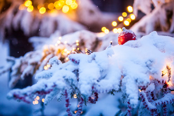 red christmas toy ball on snowy winter branch of pine. winter evening . christmas time season in Lapland