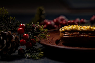 Fototapeta na wymiar chocolate cake with chrismas decoration