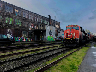 Fototapeta premium train