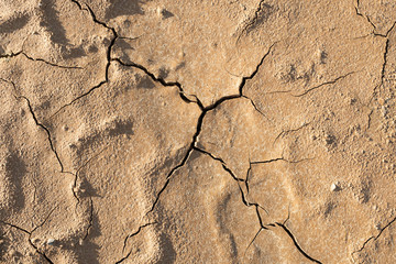 Dry cracked ground background texture
