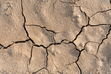 Dry cracked ground background texture