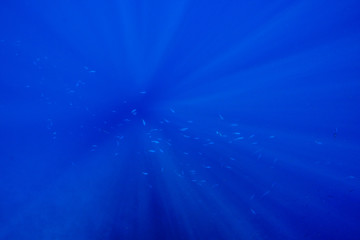underwater sun rays at the Red Sea, Egypt