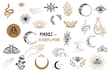 Vector witch magic design elements set. Hand drawn, doodle, sketch magician collection. Witchcraft symbols. Perfect for tattoo, textile, cards, mystery