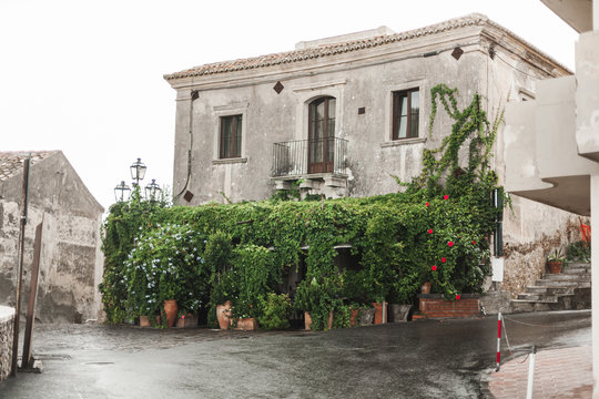 selective focus of old house near green plants in savoca