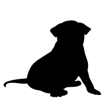 black silhouette of a dog sitting