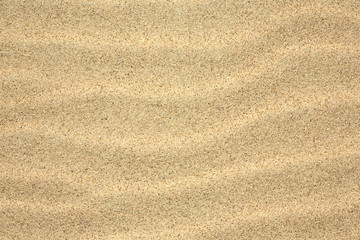 Fototapeta na wymiar Natural sand texture for background