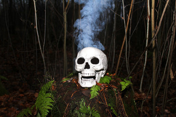 Grinning white human skull with blue smoke above it in the middle of the forest.