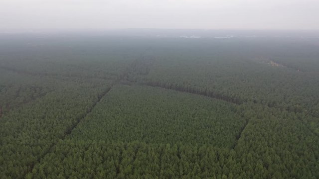 Luftaufnahme vom Standort der zuk&uuml;nftigen Tesla GigaFactory 4 in Gr&uuml;nheide, Brandenburg